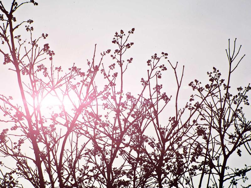 careers screenshot 4